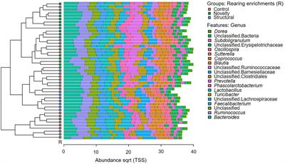 Cecal Microbiota of Free-Range Hens Varied With Different Rearing Enrichments and Ranging Patterns